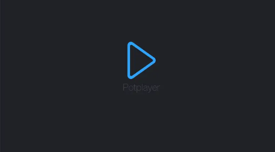 PotPlayer保持放大系数