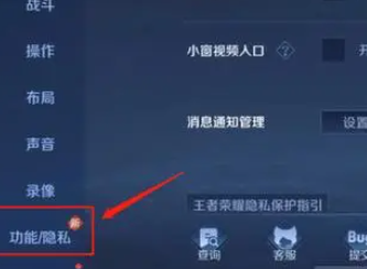 《王者荣耀》v10皮肤共享机制介绍