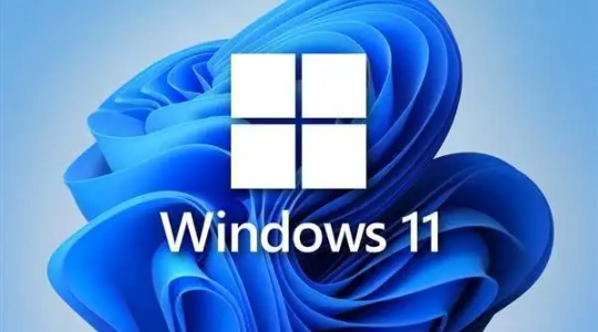 Win11应用快捷