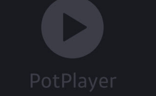 PotPlayer更改书签