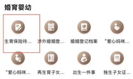 随申办app如何申领生育金（随申办申领生育金领取流程）