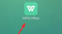 WPS Office