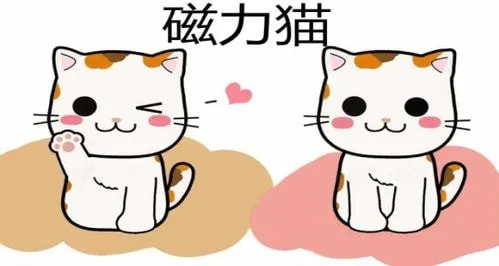 《磁力猫》app怎么使用