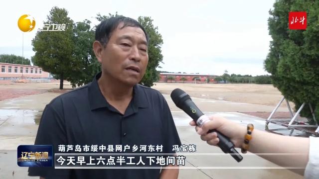 多方力量支援葫芦岛防汛救灾，各相关部门全力抢险救援