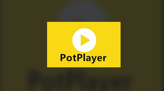 PotPlayer隐蔽指针