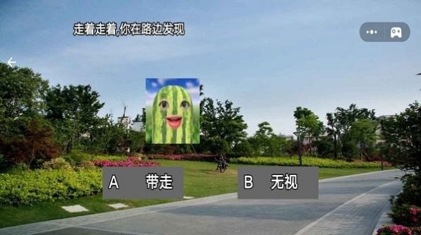 西瓜人派对最新版1