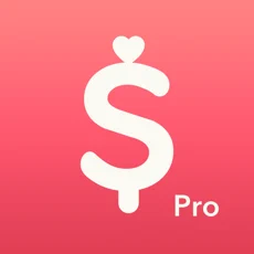 minibudge小预算pro