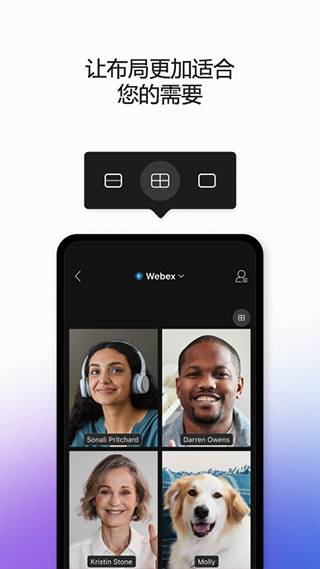 webex1