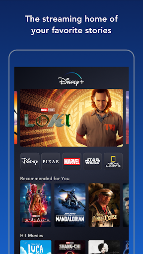 Disney+1