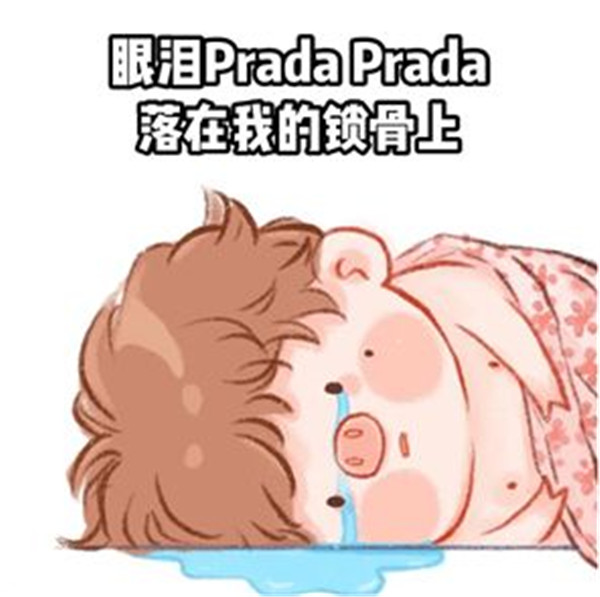 抖音Prada的眼泪PradaPrada地掉表情包图片合集2