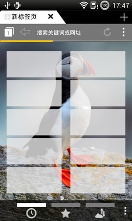 Puffin2