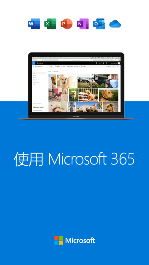 OneDrive1