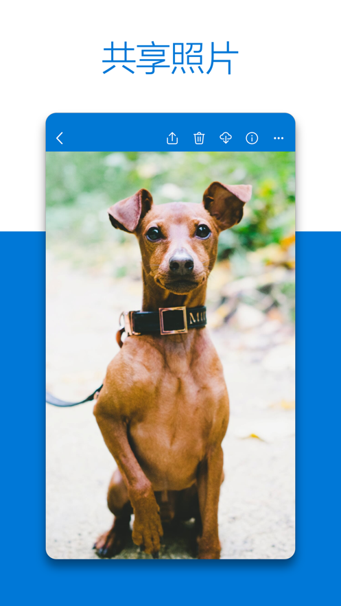 OneDrive3